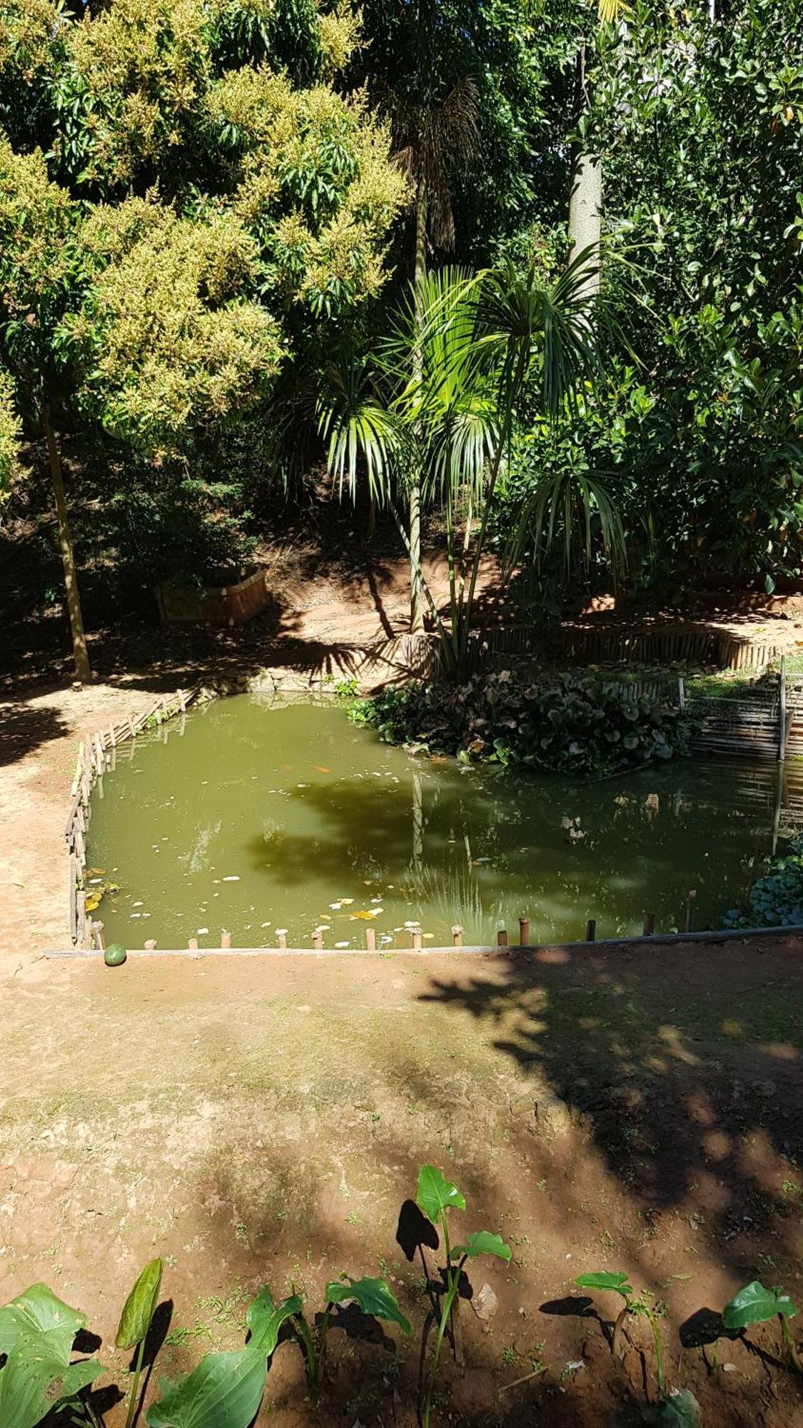 Chalés Magia das Águas Águas de Lindóia Exterior foto